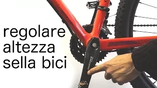 HOW TO ADJUST THE SADDLE OF THE BIKE