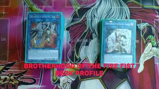 YUGIOHVIDEO#196 My BrotherHood Of The Fire Fist Deck Profile July 2023
