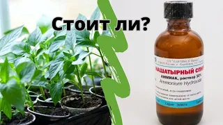 Стоит ли использовать нашатырный спирт для рассады