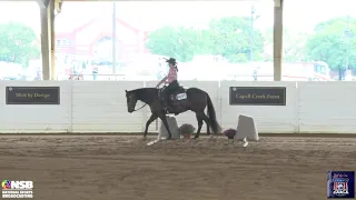 2021 Quarter Horse Congress Youth Ranch Trail Becca Schaffahuser on Dun Got My Rest