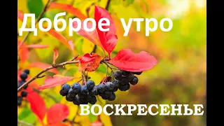 Доброго воскресного дня!#сдобрымутромихорошимднем#воскресенье