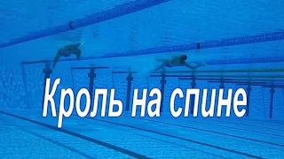 Кроль на спине. Комментарии подводной съёмки.