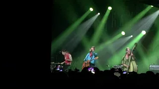 Stray cats - Stray Cat Strut. Birmingham O2 Academy, 23rd June 2019