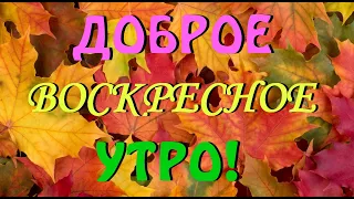 Доброе Воскресное Утро! Открытка - Пожелание, С Добрым Утром, Хорошего Дня! Открытка!