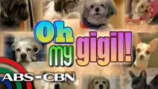 Korina, Sharon, Toni show off their dogs