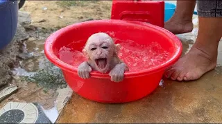 I'm Cold, Mom!! Little Kobie Screaming Loud Hurry Mom To Fast Warm Bathing For Her,