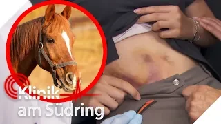 Böses Pferd: Reiterin wird getreten! Jetzt blutet sie untenrum! | Klinik am Südring | SAT.1 TV