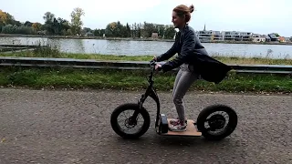 DIY Electric scooter 1500w 52v 20ah ( all parts in discription)