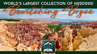 BEWITCHING BRYCE:  World’s Largest Collection of Hoodoos!