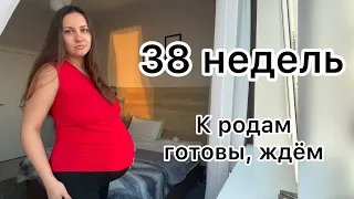 38 недель Заключили контракт ждем родов