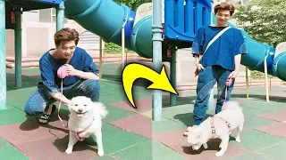bts with animals funny moments