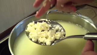 Определение готовности сырного зерна. Сжатие в кулаке в комок.