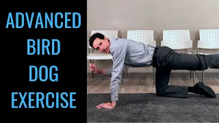 Advanced bird dog exercise advanced demonstration by chiropractor in Toronto Dr. Byron Mackay