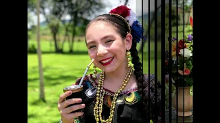 Jazmin del Paraguay - Pacholi