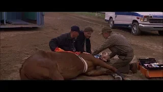 Dreamer: Inspired by a True Story - Injured Horse (HD)