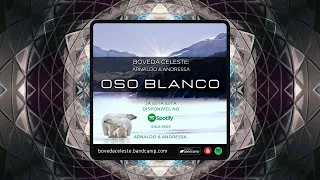 Bóveda Celeste: Oso Blanco