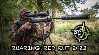 S&C TV | Roaring Red Rut 2023 | Deer management with Chris Rogers 28