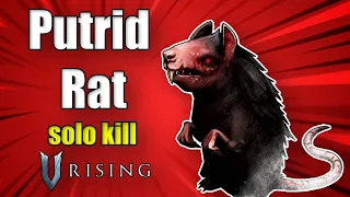 V Rising - Putrid Rat (Boss Fight)