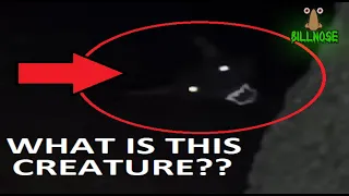 Top 10 Scary Videos of Strange Things Caught on Camera | Weird Videos on YouTube