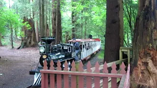 Stanley Park Train