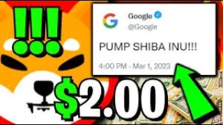 GOOGLE'DAN AÇIKLAMA: SHİBA PUMP YAPACAK🚀GOOGLE VERİLERİ GELDİ: SHİB COİN'DE 100X İÇİN TAM TARİH VAR🔥