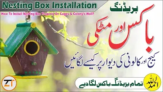 Installation Of Bird's Nesting Box & Clay Pot(Matki)On Cage&Colony's Wall|Breeding Box Installation