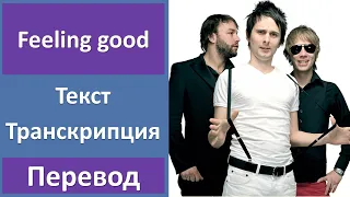 Muse - Feeling good - текст, перевод, транскрипция