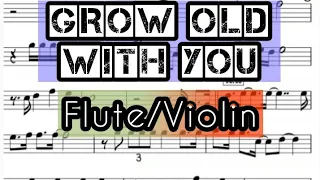 Grow Old With You I Flute or Violin Sheet Music Backing Track Play Along Partitura Adam Sandler