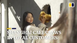 Shanghai’s ‘hole in the wall’ cafe uses novel bear claw mitt to become a hit with customers