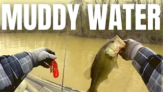 3 MUDDY WATER Bass Fishing Tips You Need To Know