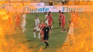 De reactie van FC Twente-fans op het doelpunt van MICHEL VLAP in de voetbalwedstrijd tegen Cukaricki