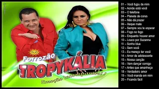 Forrozão Tropykália - 20 Grandes Sucessos