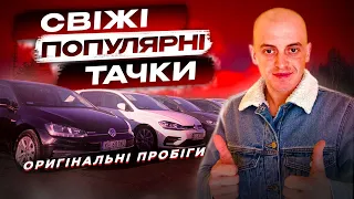 АВТОБАЗАР ПОЛЬЩА ЛОДЗЬ. СВІЖІ АВТОМОБІЛІ.