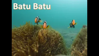 Batu Batu 2022