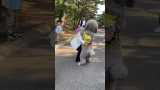 Giant Poodle Afraid of Little Teddy😂😂😂#funnydogs #shorts