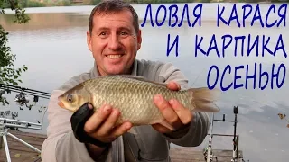 Ловля карася и карпа осенью