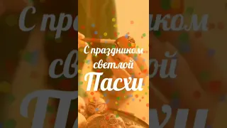 С Великой Пасхой #пасха #спасхой