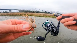 WINTER SLAM with LIVE CRABS + How to Catch Winter Redfish and Sheepshead