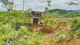 Awesome Operator Bulldozer CAT D6R XL Renovating Terrace on an Abandoned Plantation