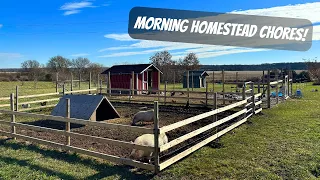 A Real Look At Daily Homestead Chores | A Day On The Homestead