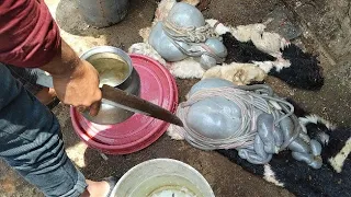 Goat intestine boti cleaning full prosesar skills by indian street market butcher man #iTT #howtocut