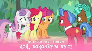 My Little Pony - Sezon 9 Odcinek 22 - Ach, dorosłym być!