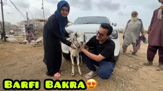 ALHAMDULILLAH zindagi ka pehla BAKRA leliya😍qurbani k liye