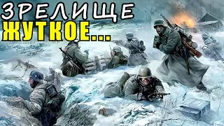 "Они вытаивали из снега, а по ночам светились мерцающим огнем"- Волховский плацдарм Воспоминания