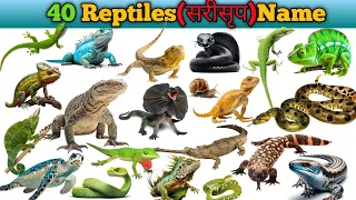 Reptiles Name in Hindi and English || Reptiles Animals Name