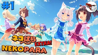 😻 #1 Nekopara Extra - Касё в Анапе!