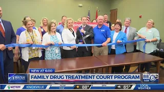 Family drug treatment court program