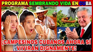 Programa SEMBRANDO VIDA🌱 en CUBA🇨🇺 2023 reaction ¡MEXICO le DEVUELVE la ESPERANZA al PUEBLO CUBANO🥹!