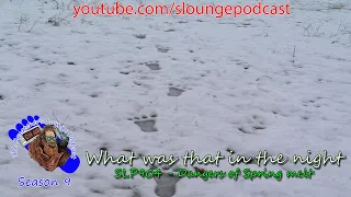 Bigfoot and the Spring Melt - SLP904