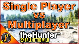 Single Player VS Multiplayer in COTW: Advantages & Disadvantages